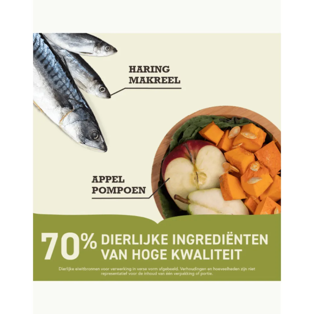 Clearance Hondenvoer Highest Protein Pacifica 2 kg Hondenvoer