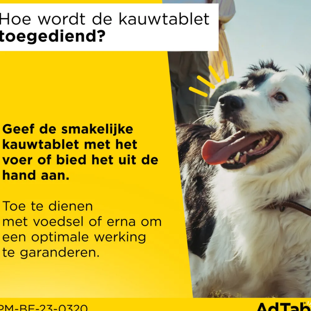 Anti Vlo en Teek Kauwtabletten Hond >5,5-11 kg 3 tabletten^AdTab Online