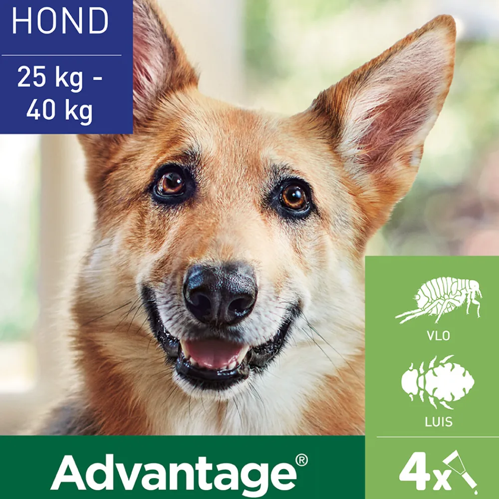 Anti Vlooiendruppels 400 Hond 25 - 40 kg 4 pipetten^Advantage Outlet