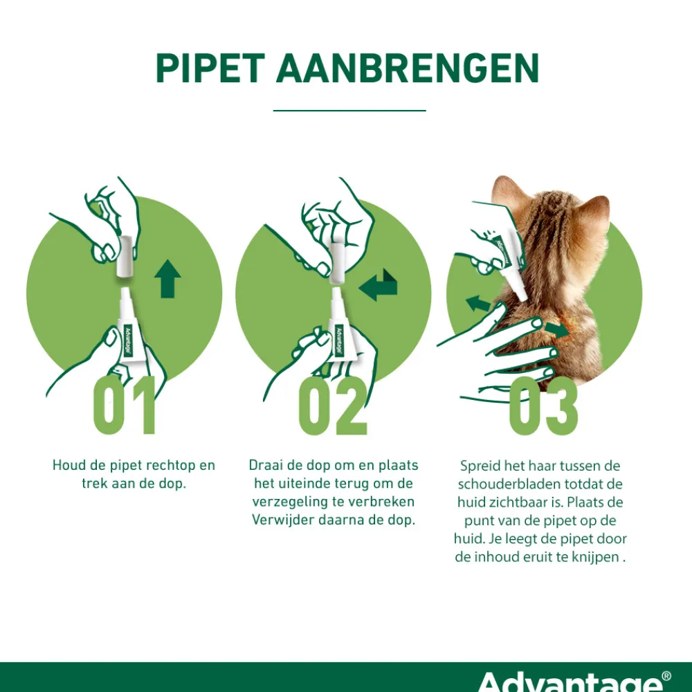 Vlo, Teek & Worm<Advantage Anti Vlooiendruppels 40 Kat tot 4 kg 4 pipetten