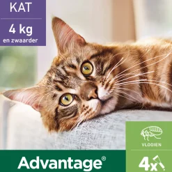 Vlo, Teek & Worm<Advantage Anti Vlooiendruppels 80 Kat vanaf 4 kg 4 pipetten