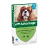 Vlo, Teek & Worm<Advantage Anti Vlooiendruppels 100 Hond 4 - 10 kg 4 pipetten