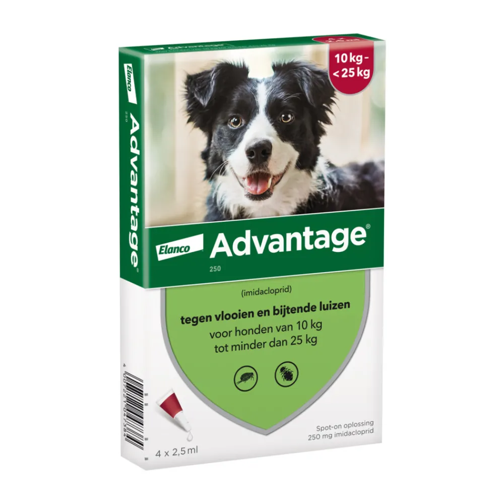 Vlo, Teek & Worm<Advantage Anti Vlooiendruppels 250 Hond 10 - 25 kg 4 pipetten