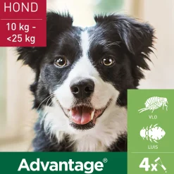 Vlo, Teek & Worm<Advantage Anti Vlooiendruppels 250 Hond 10 - 25 kg 4 pipetten