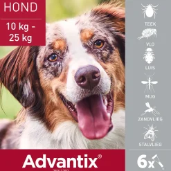 Vlo, Teek & Worm<Advantix Spot On 250 Anti Vlooien en Teken Druppels Hond 10 - 25 kg 6 pipetten