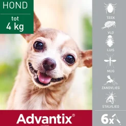 Vlo, Teek & Worm<Advantix Spot On 40 Anti Vlooien en Teken Druppels Hond tot 4 kg 6 pipetten