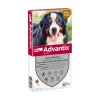 Spot On 600 Anti Vlooien en Teken Druppels Hond 40 - 60 kg 4 pipetten^Advantix Discount