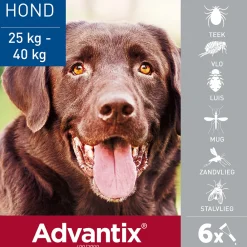Hot Spot On 400 Anti Vlooien en Teken Druppels Hond 25 - 40 kg 6 pipetten Vlo, Teek & Worm