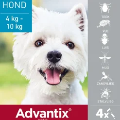 Spot On 100 Anti Vlooien en Teken Druppels Hond 4 - 10 kg 4 pipetten^Advantix Discount