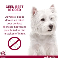Vlo, Teek & Worm<Advantix Spot On 100 Anti Vlooien en Teken Druppels Hond 4 - 10 kg 6 pipetten