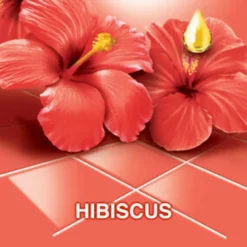 Allesreiniger Fete de Fleur Hibiscus 1 liter Allesreiniger