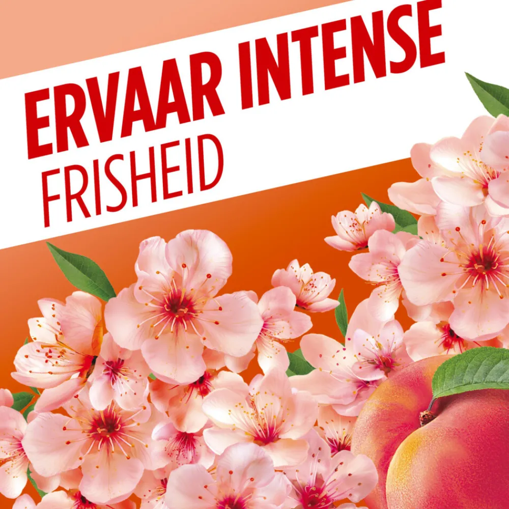 Outlet Allesreiniger Fête Des Fleurs Peach 1 liter Allesreiniger