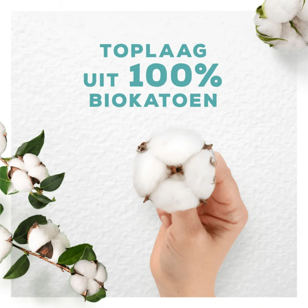 Intiemhygiëne<Always Maandverband Bio Cotton Protection Ultra Normal met Vleugels 11 stuks