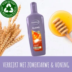 Shampoo Glans 300 ml^Andrélon Online