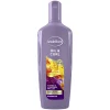 Shampoo Oil & Curl 300 ml^Andrélon Sale