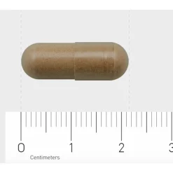 832 Ashwagandha 300 mg 60 vegacapsules^AOV Online