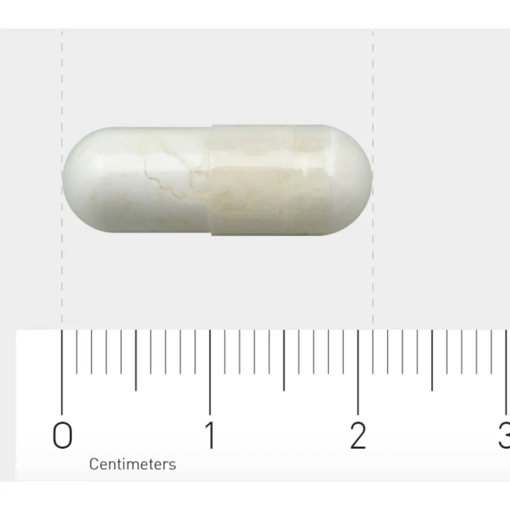 502 Calcium Pyruvaat (500 mg) 60 vegacapsules^AOV