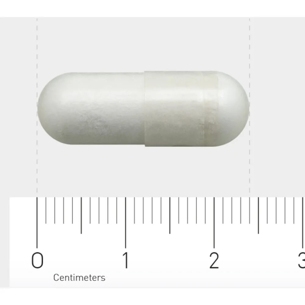 Best 605 L-Glutamine 500mg 90 vegacapsules Speciale Bestanddelen