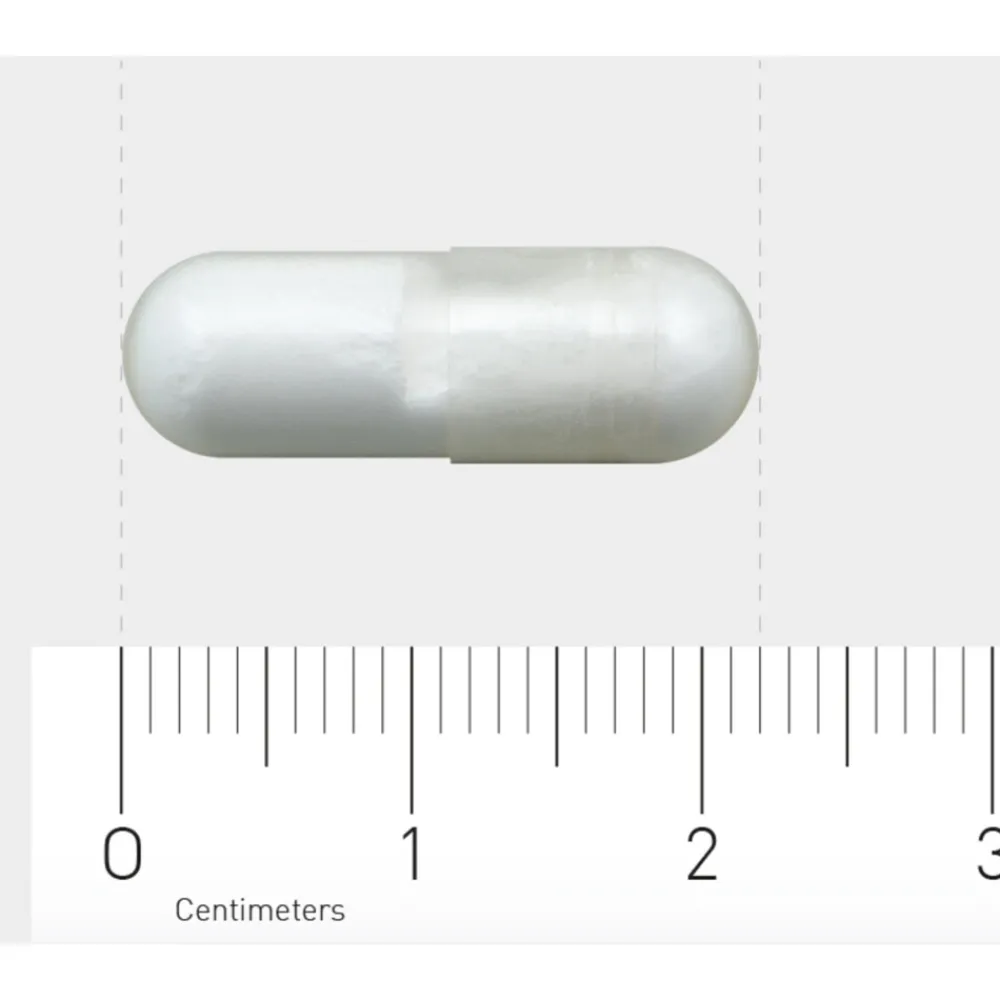 511 Magnesium Pidolaat 90 vegacapsules^AOV Online
