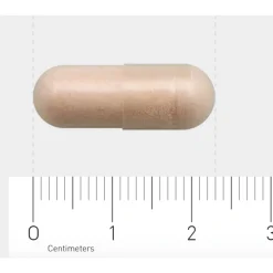 Online 1204 Pre- en Probiotica 30 vegacapsules Speciale Bestanddelen