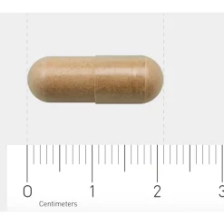 Best 828 Salvia-extract 60 vegacapsules Voor Vrouw Of Man