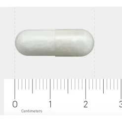 Hot 611 Taurine 500 mg 60 vegacapsules Speciale Bestanddelen