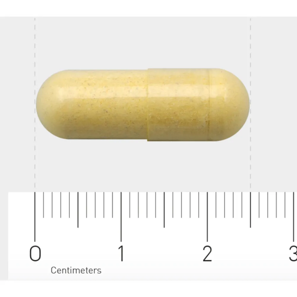 Hot Multi Basis 101 60 vegacapsules Mineralen|Multi Vitaminen En Mineralen