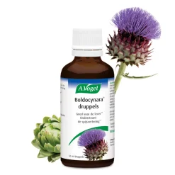 Organen<A.Vogel Boldocynara Druppels 50 ml