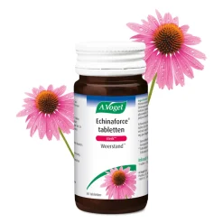 Weerstand & Energie<A.Vogel Echinaforce Sterk 60 tabletten
