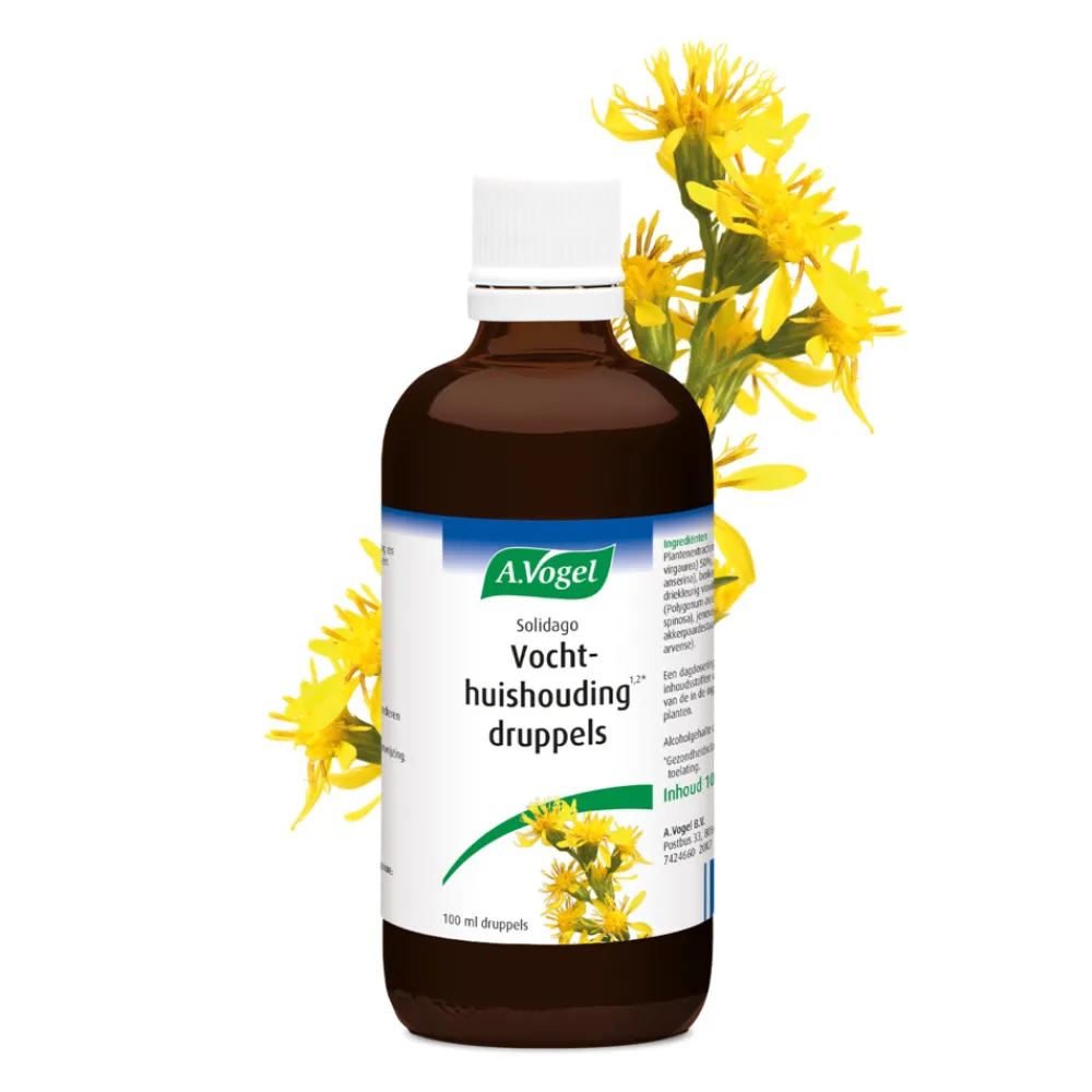 Vitaminen & Supplementen|Organen<A.Vogel Solidago Vochthuishouding 100 ml