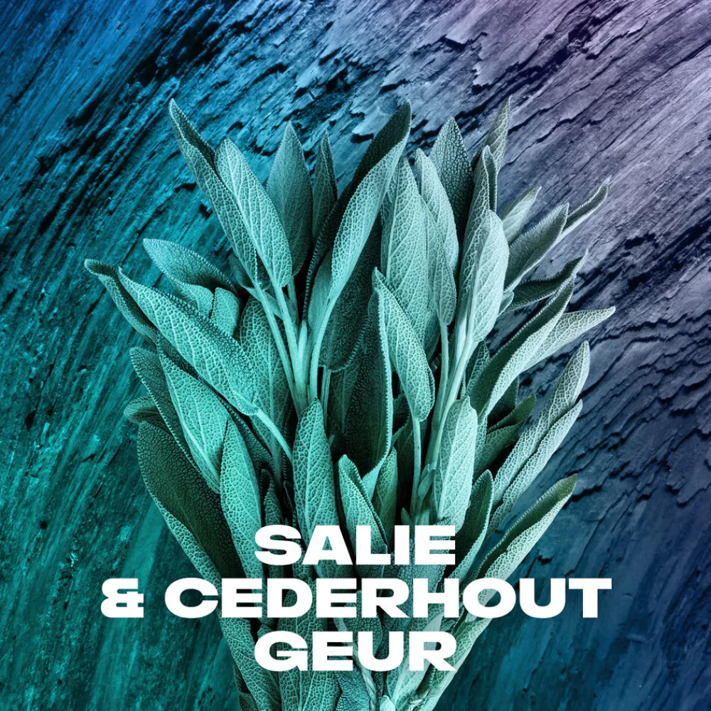 Deodorant Bodyspray Apollo 150 ml^Axe Outlet