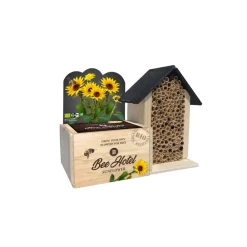 Kweken En Zaden<Baza Bee Hotel Met Bio Bloemen Zonnebloem