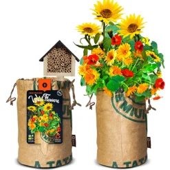 Bio Wildbloemen Met Insectenhotel Oranje^Baza Clearance