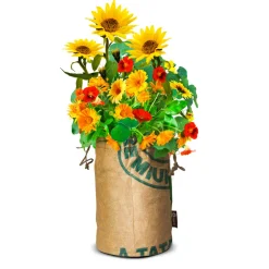 Bio Wildbloemen Met Insectenhotel Oranje^Baza Clearance