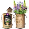 Outlet Bio Wildbloemen Met Insectenhotel Paars Kweken En Zaden