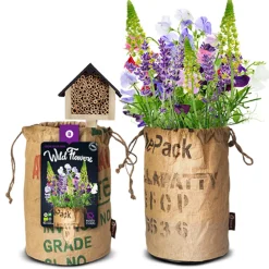 Outlet Bio Wildbloemen Met Insectenhotel Paars Kweken En Zaden