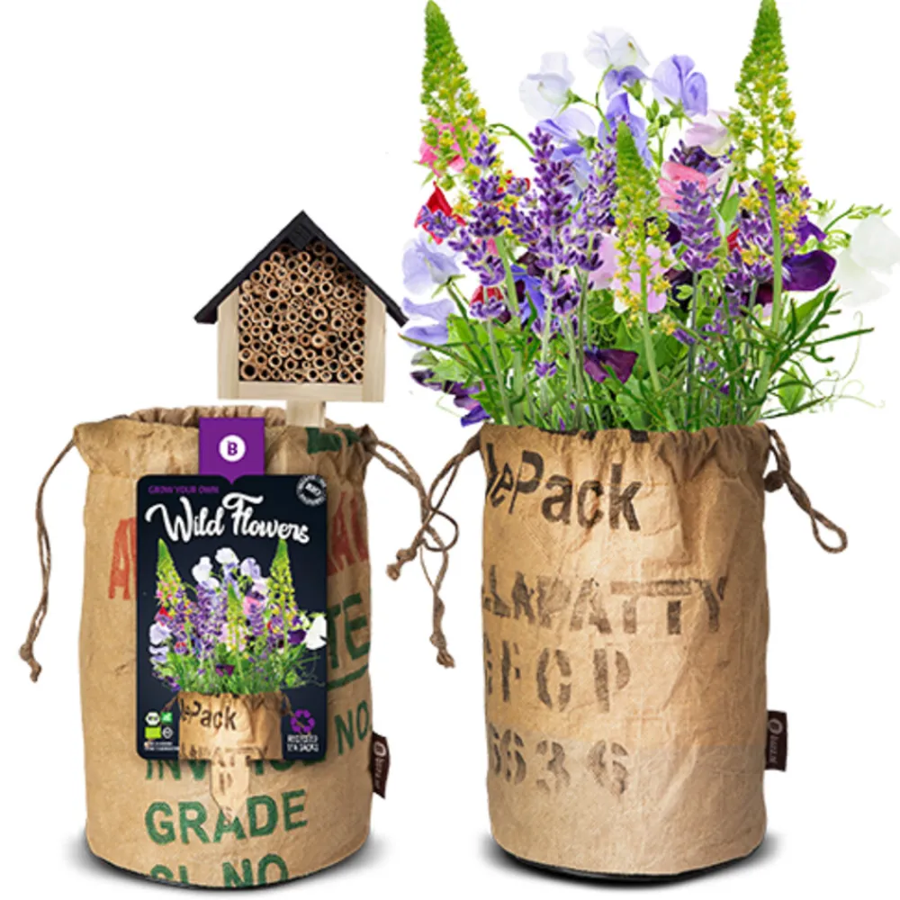 Outlet Bio Wildbloemen Met Insectenhotel Paars Kweken En Zaden