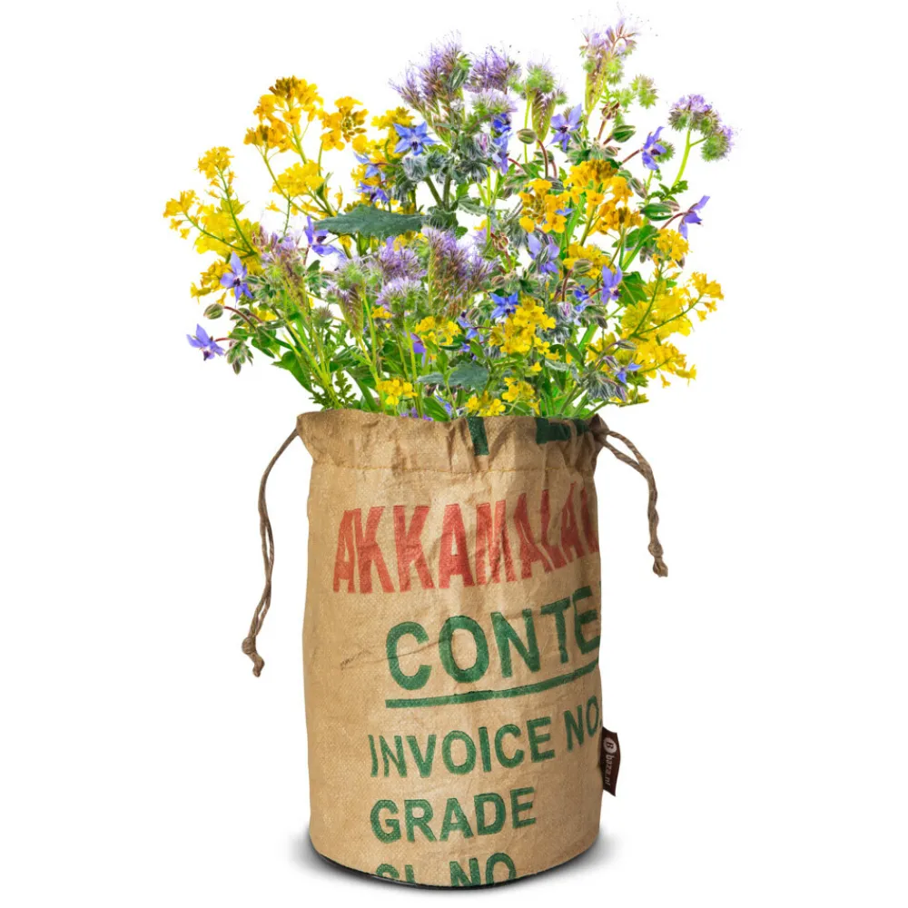 Bio Wildbloemen Met Insectenhotel Geel^Baza Online