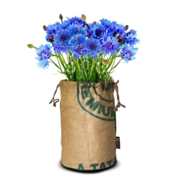 Outlet Butterflies Kweektas Bio Korenbloem Kweken En Zaden