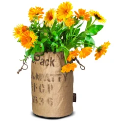 Butterflies Kweektas Bio Goudsbloem^Baza Best