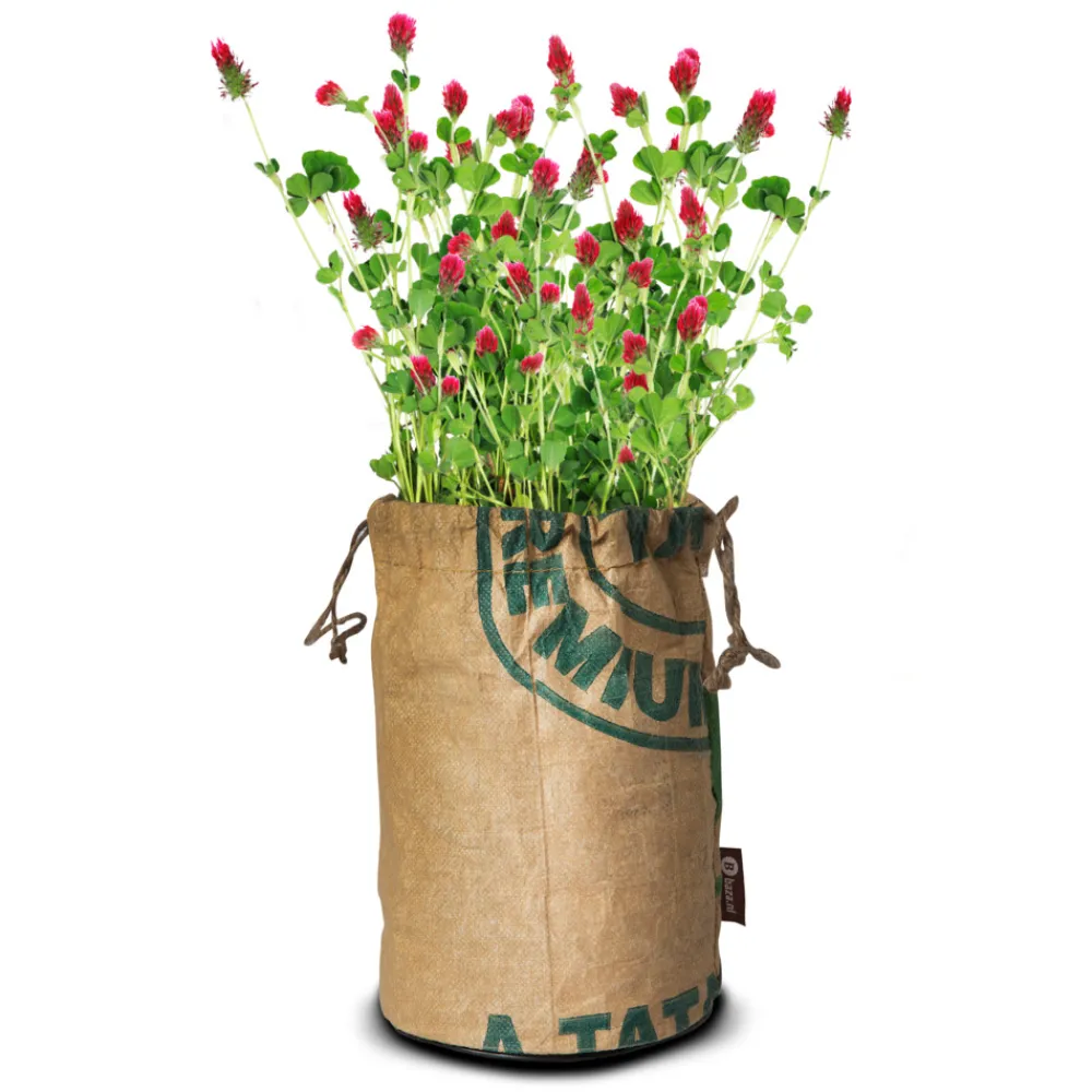 Butterflies Kweektas Bio Incarnaat Klaver^Baza Clearance