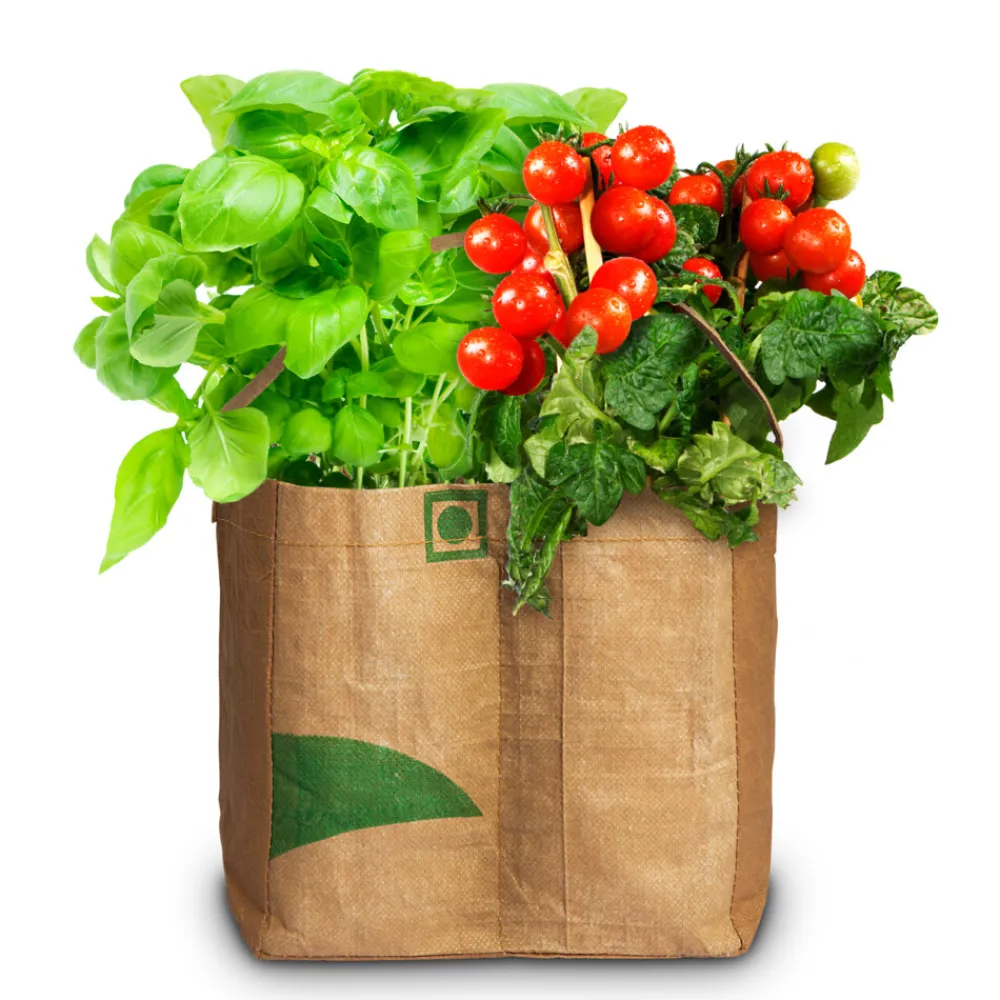 Duo-Tuintje Caprese Bio Tomaat En -Basilicum Kweken En Zaden