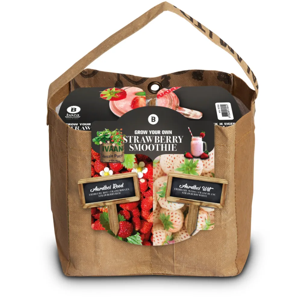 Duo-Tuintje Strawberry Smoothie Wit En Rood^Baza Sale