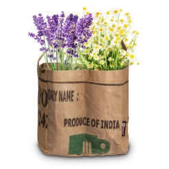 Kweken En Zaden<Baza Duo-Tuintje Thee Bio Kamille En -Lavendel