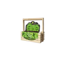 Kweken En Zaden<Baza Fresh Farm Basilicum