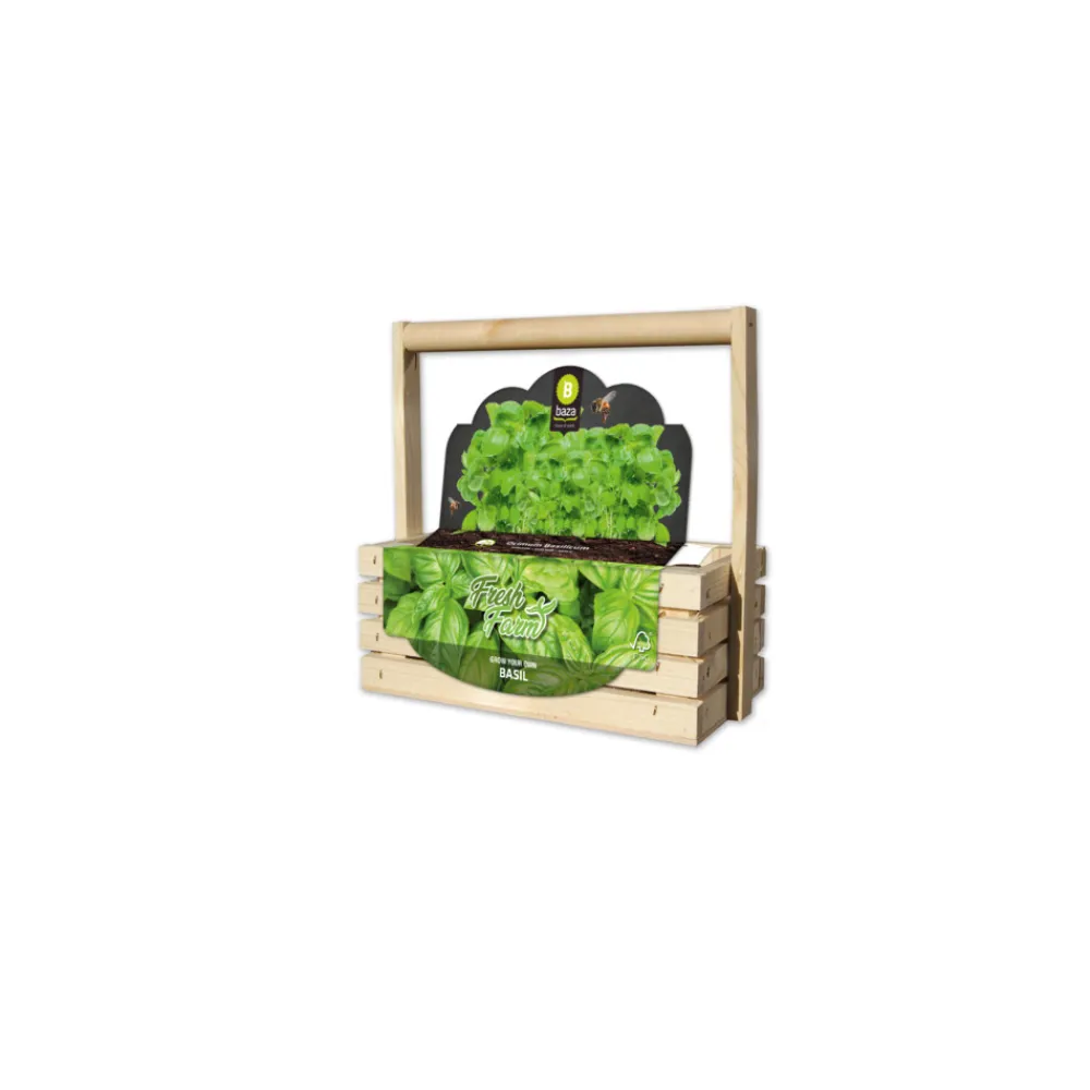 Kweken En Zaden<Baza Fresh Farm Basilicum