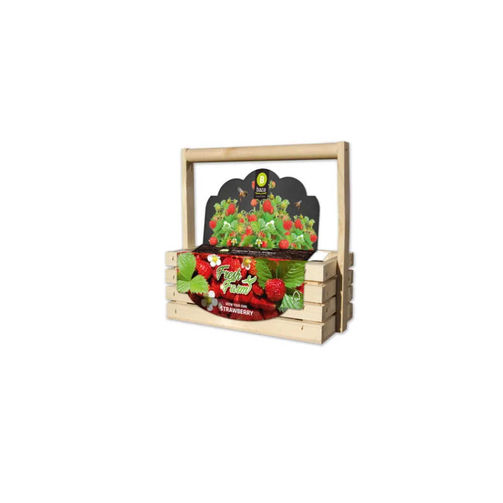 Fresh Farm Bosaardbei Rood^Baza Sale