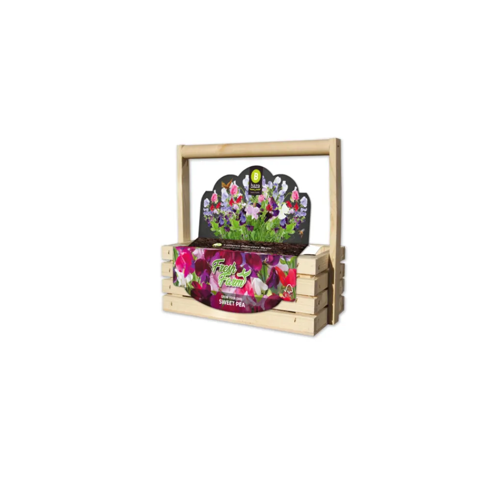 Kweken En Zaden<Baza Fresh Farm Lathyrus Byou