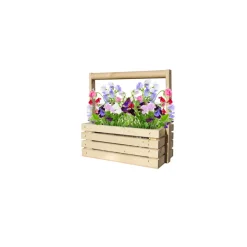 Kweken En Zaden<Baza Fresh Farm Lathyrus Byou