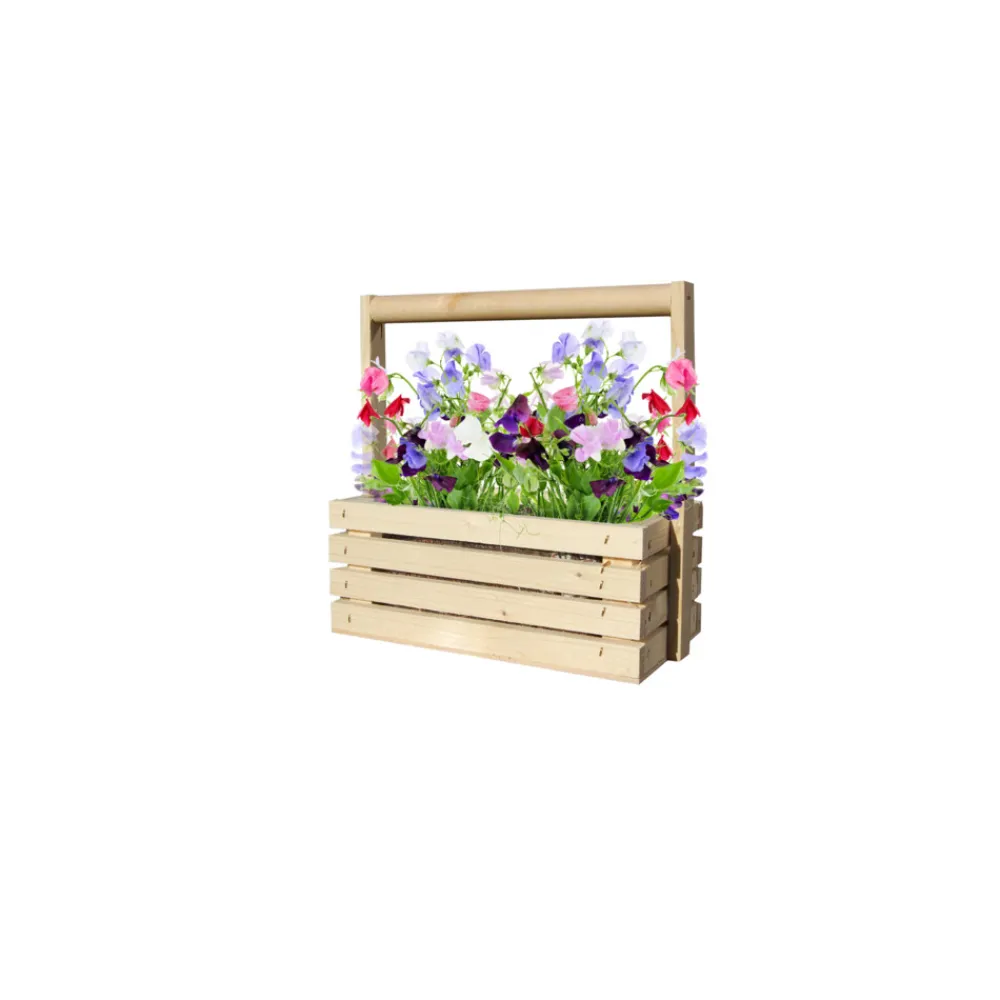 Kweken En Zaden<Baza Fresh Farm Lathyrus Byou